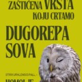 Rendžeri pronalaze, umetnici pretvaraju tišinu u sliku – dugorepa sova, novi junak serijala „Umetnici protiv zagađivača“