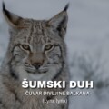 Šumski duh – čuvar divljine Balkana